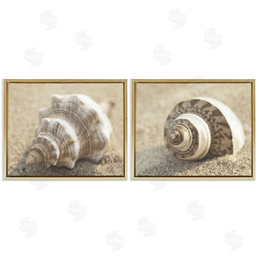 Dora Rotondella | Neutral Tone Sea Life