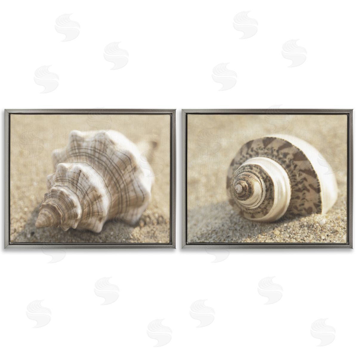 Neutral Tone Sea Life Grey Floating Frame Canvas Wall Art, Home Decor by Dora Rotondella