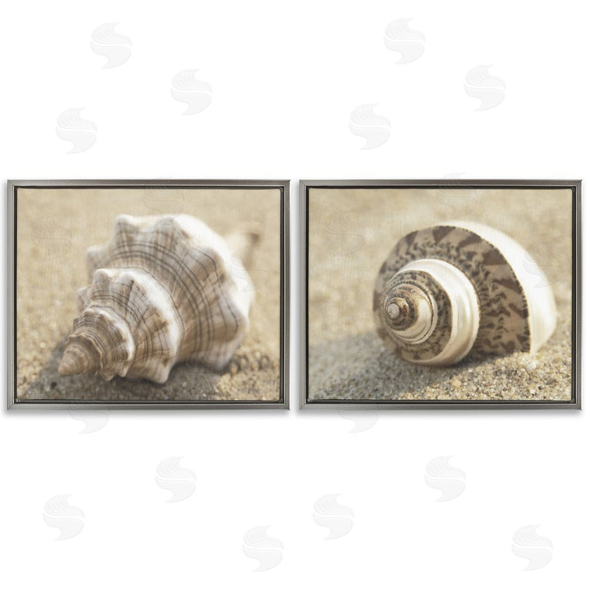 Dora Rotondella | Neutral Tone Sea Life