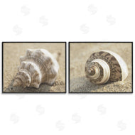 Dora Rotondella | Neutral Tone Sea Life
