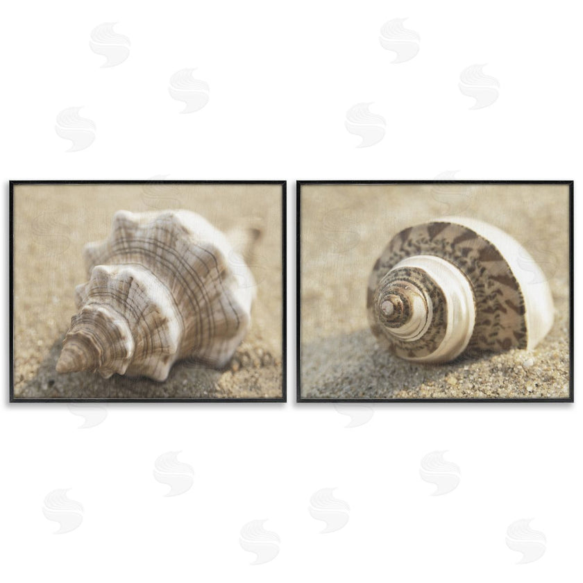 Dora Rotondella | Neutral Tone Sea Life