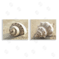 Dora Rotondella | Neutral Tone Sea Life