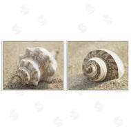 Dora Rotondella | Neutral Tone Sea Life