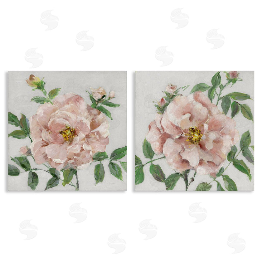 Sally Swatland | Soft & Subtle Peonies
