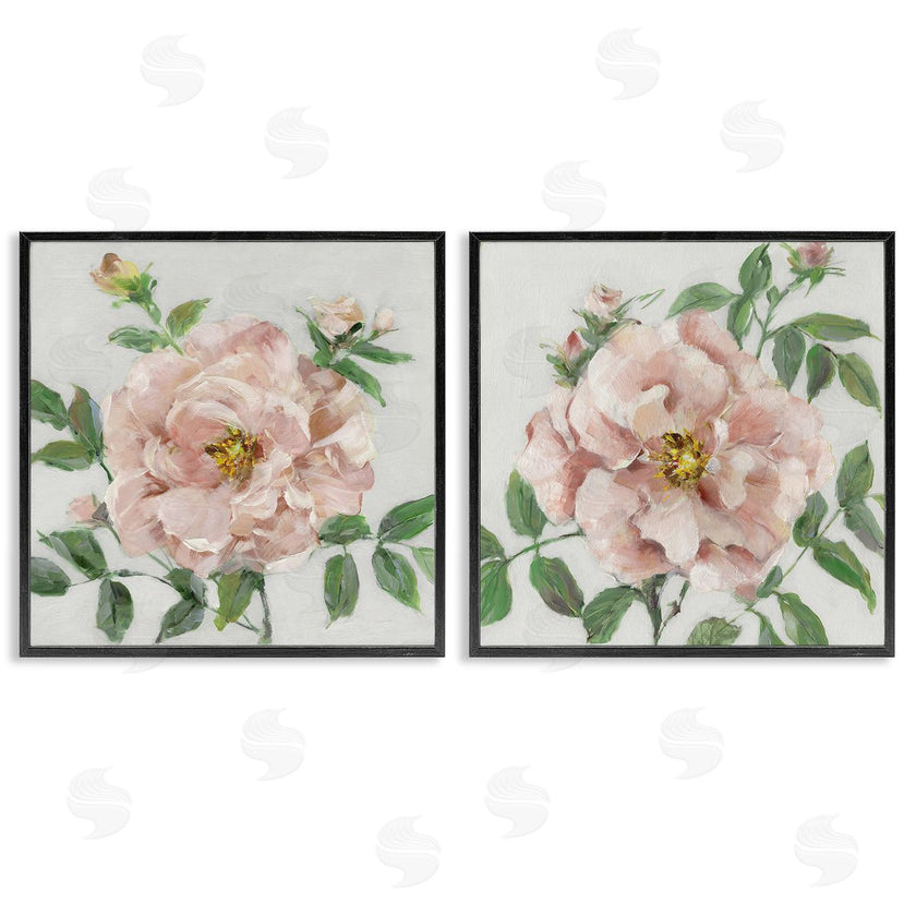 Sally Swatland | Soft & Subtle Peonies