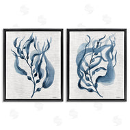 Carol Robinson | Fluid Blue Herbs