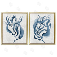 Carol Robinson | Fluid Blue Herbs