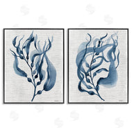 Carol Robinson | Fluid Blue Herbs