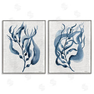 Carol Robinson | Fluid Blue Herbs