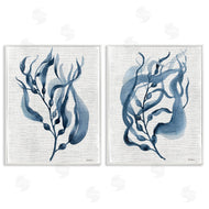 Carol Robinson | Fluid Blue Herbs