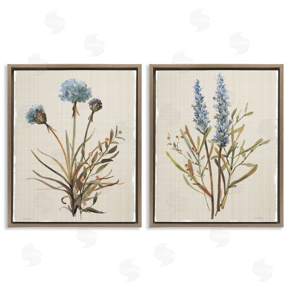 Natural Budding Blooms Brown Floating Frame Canvas Wall Art, Home Decor by Carol Robinson