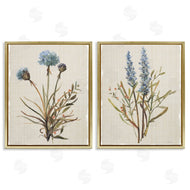 Carol Robinson | Natural Budding Blooms