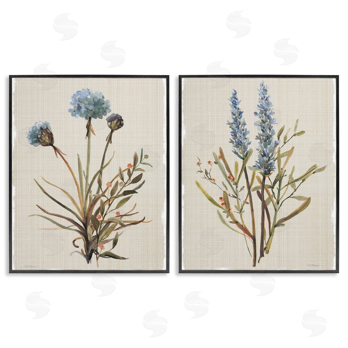 Natural Budding Blooms Black Frame Print Wall Art, Home Decor by Carol Robinson