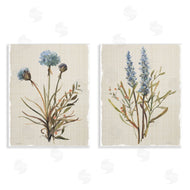 Carol Robinson | Natural Budding Blooms
