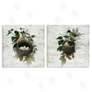 Susan Arnot | Rustic Vintage Bird Nests