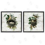 Susan Arnot | Rustic Vintage Bird Nests