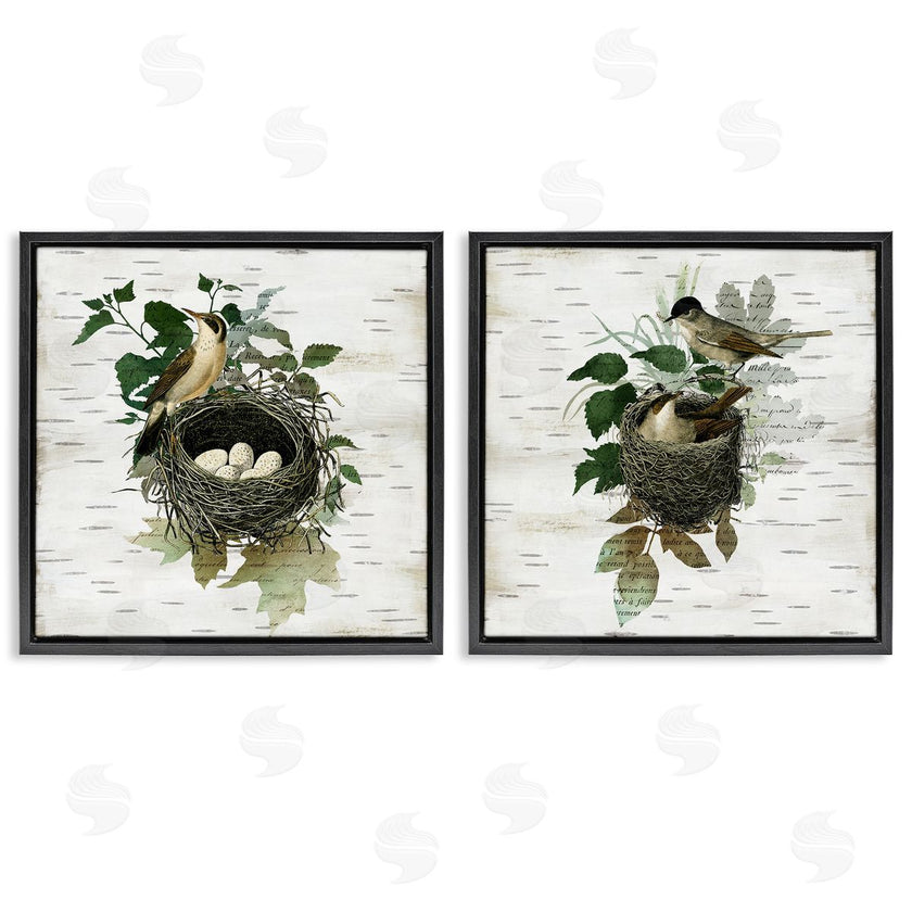 Susan Arnot | Rustic Vintage Bird Nests
