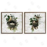 Susan Arnot | Rustic Vintage Bird Nests