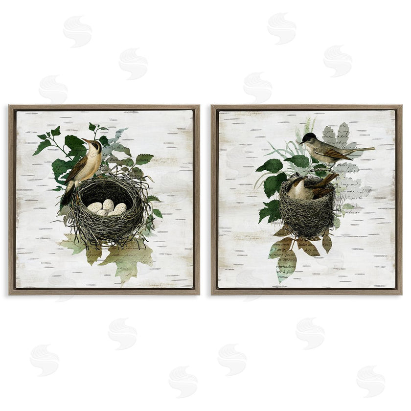 Susan Arnot | Rustic Vintage Bird Nests