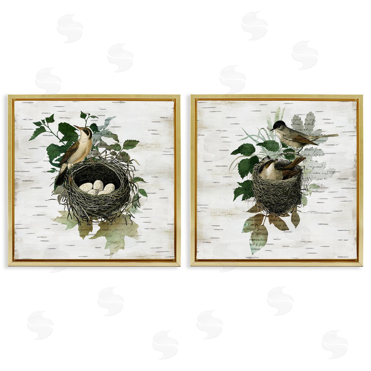 Rustic Vintage Bird Nests Gold Floating Frame Canvas Wall Art, Home Decor by Susan Arnot