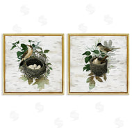 Susan Arnot | Rustic Vintage Bird Nests