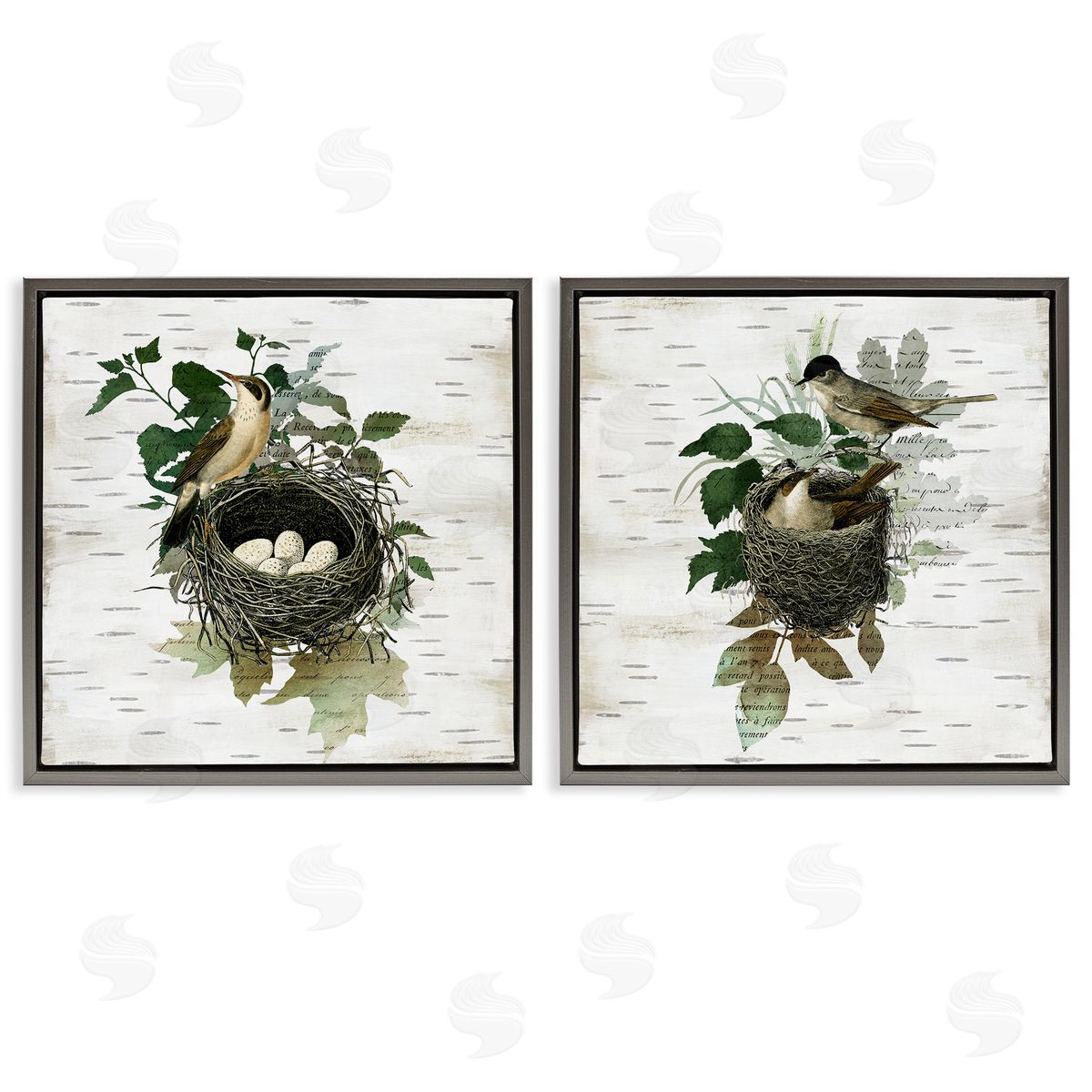 Rustic Vintage Bird Nests Grey Floating Frame Canvas Wall Art, Home Decor by Susan Arnot