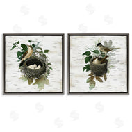 Susan Arnot | Rustic Vintage Bird Nests