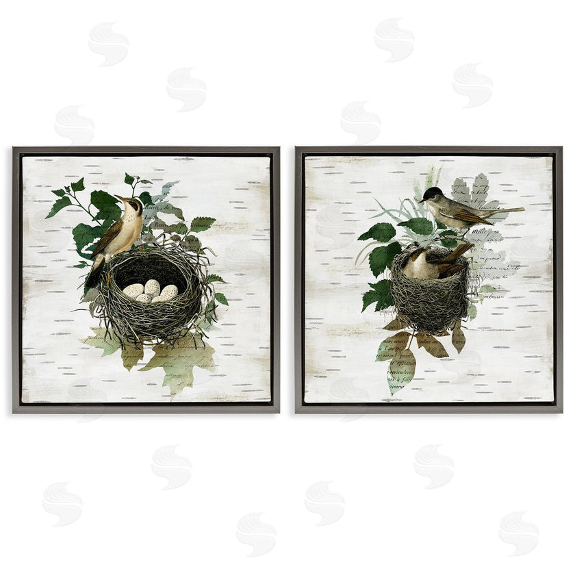 Susan Arnot | Rustic Vintage Bird Nests