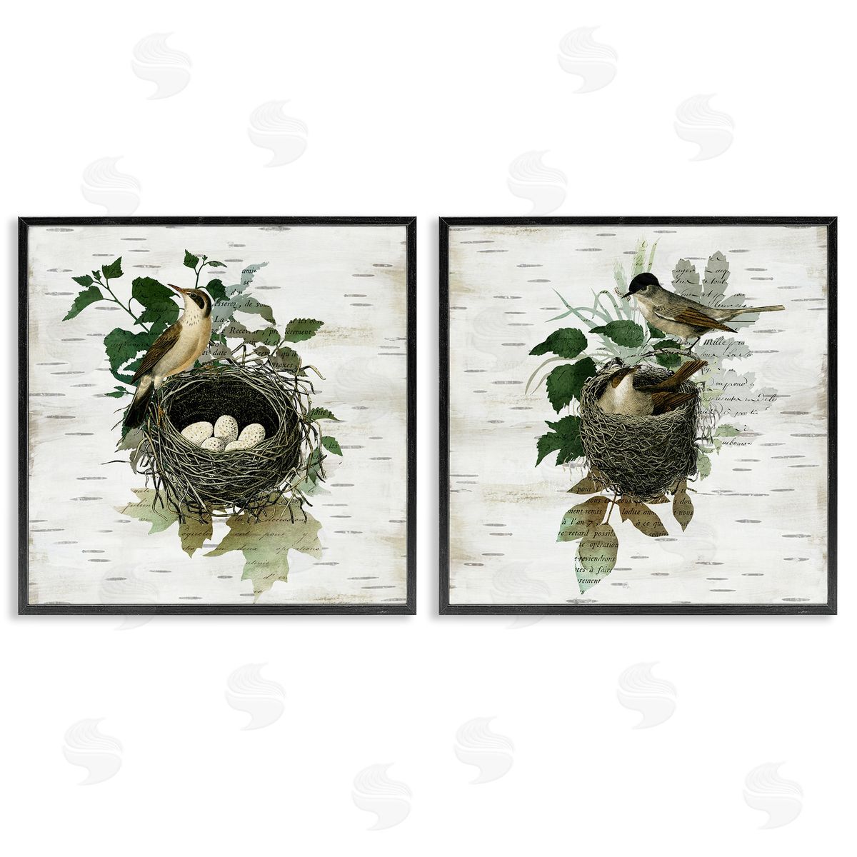 Rustic Vintage Bird Nests Black Frame Print Wall Art, Home Decor by Susan Arnot