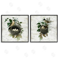 Susan Arnot | Rustic Vintage Bird Nests