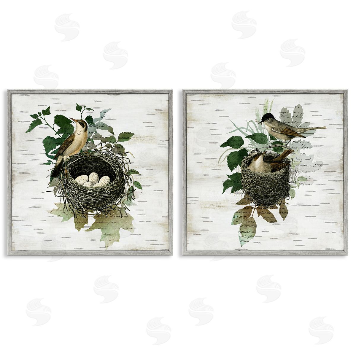 Rustic Vintage Bird Nests Grey Frame Print Wall Art, Home Decor by Susan Arnot