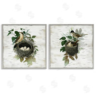 Susan Arnot | Rustic Vintage Bird Nests