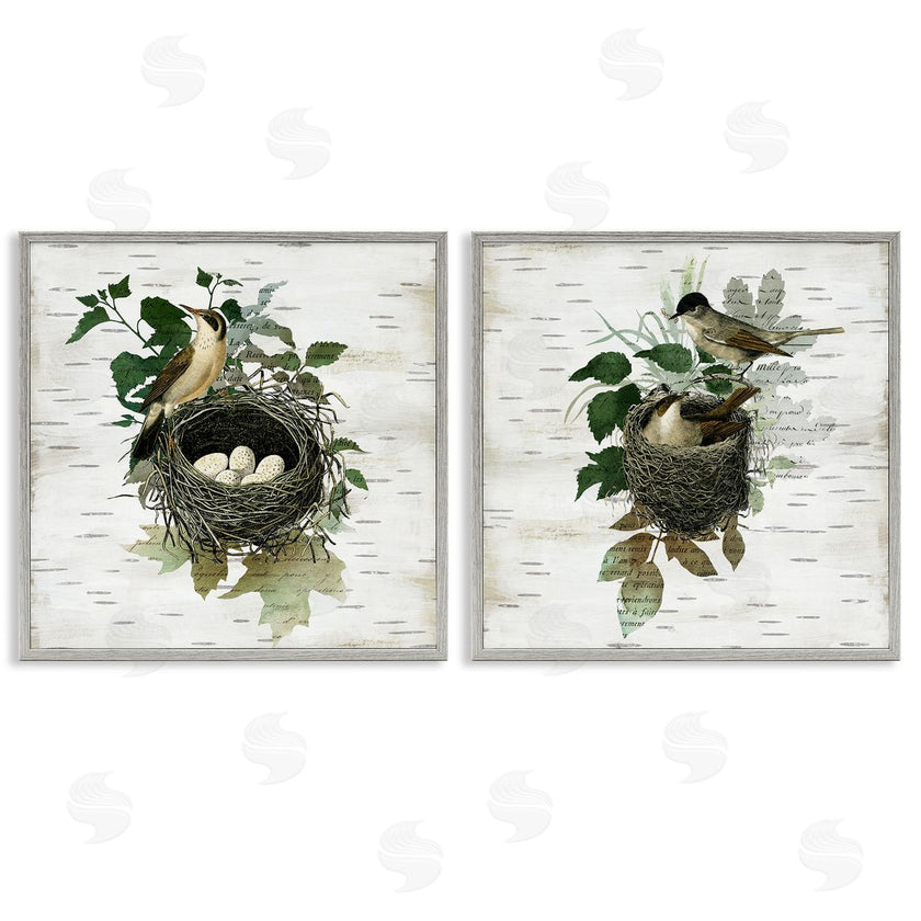 Susan Arnot | Rustic Vintage Bird Nests