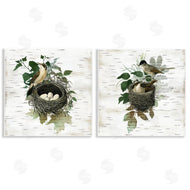 Susan Arnot | Rustic Vintage Bird Nests