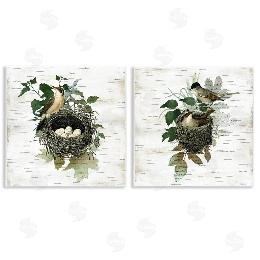 Susan Arnot | Rustic Vintage Bird Nests