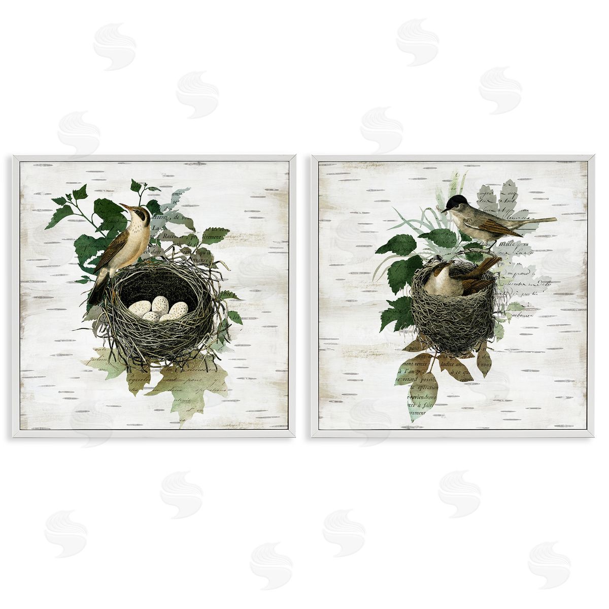 Rustic Vintage Bird Nests White Frame Print Wall Art, Home Decor by Susan Arnot