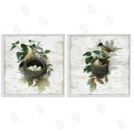 Susan Arnot | Rustic Vintage Bird Nests