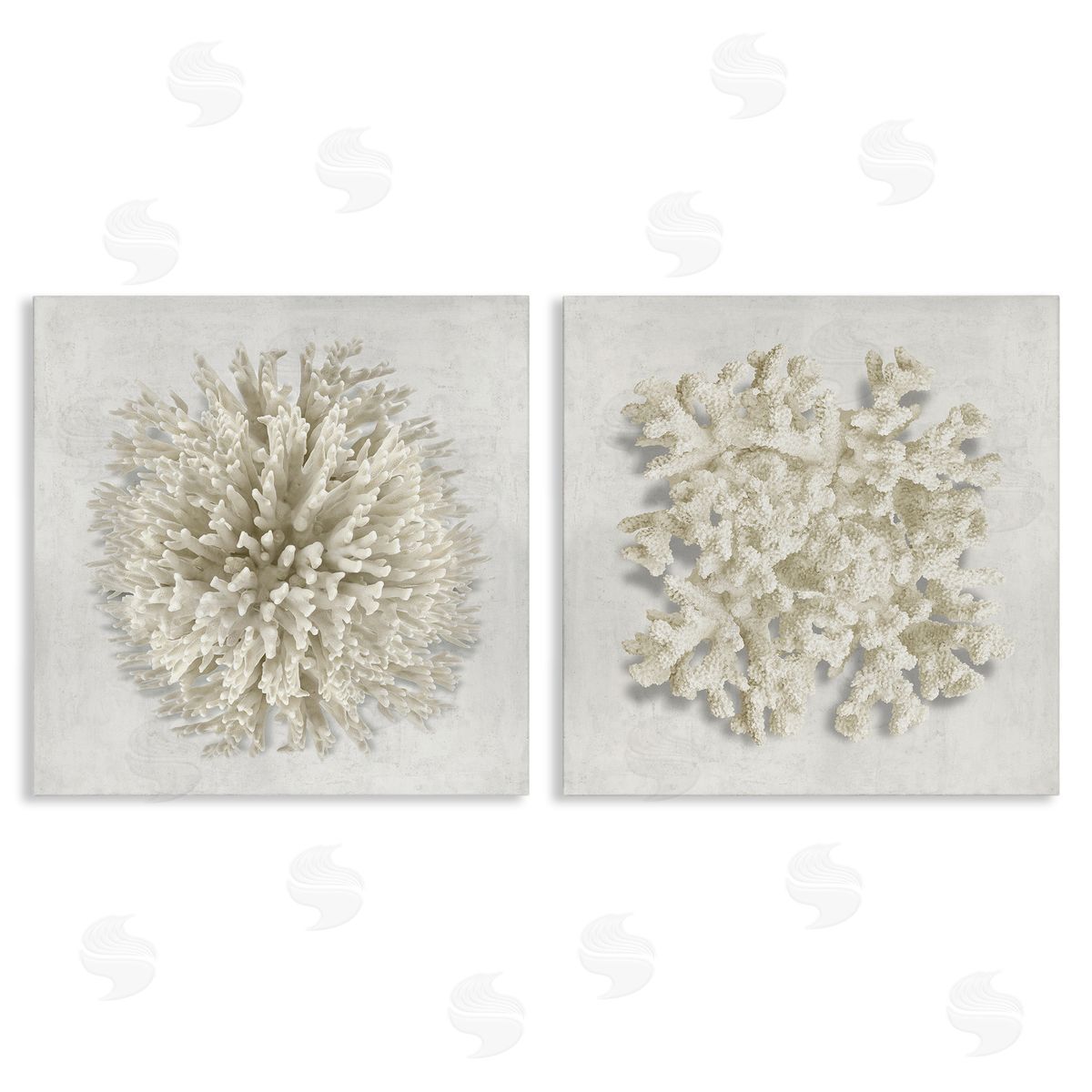 Distinct Natural Coral Canvas Wall Art, Home Decor by Caroline Kelly
