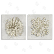 Caroline Kelly | Distinct Natural Coral