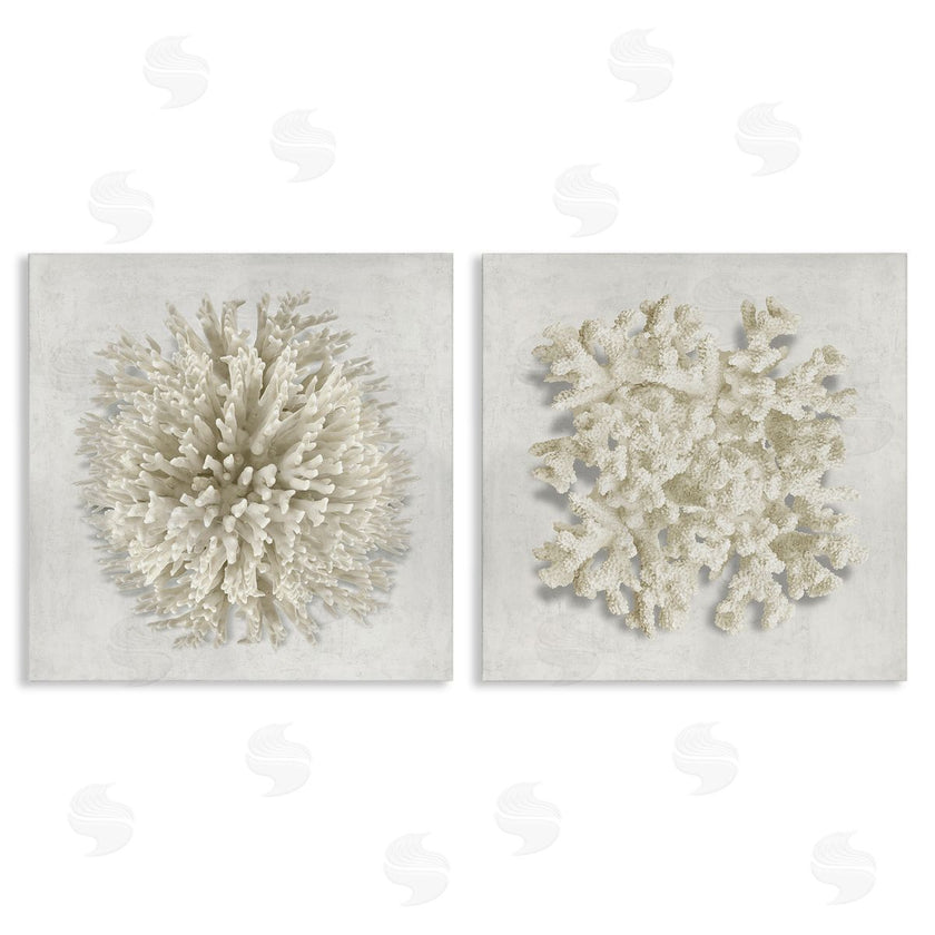 Caroline Kelly | Distinct Natural Coral