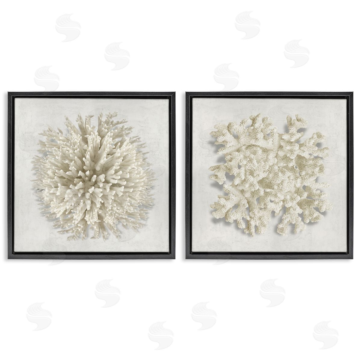 Distinct Natural Coral Black Floating Frame Canvas Wall Art, Home Decor by Caroline Kelly