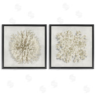 Caroline Kelly | Distinct Natural Coral