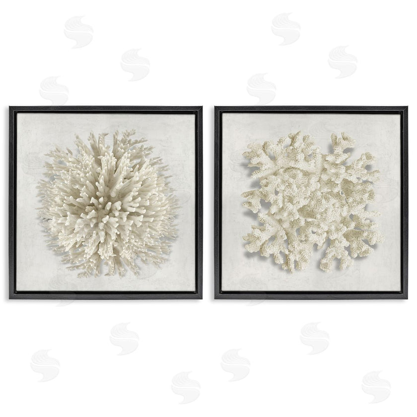 Caroline Kelly | Distinct Natural Coral
