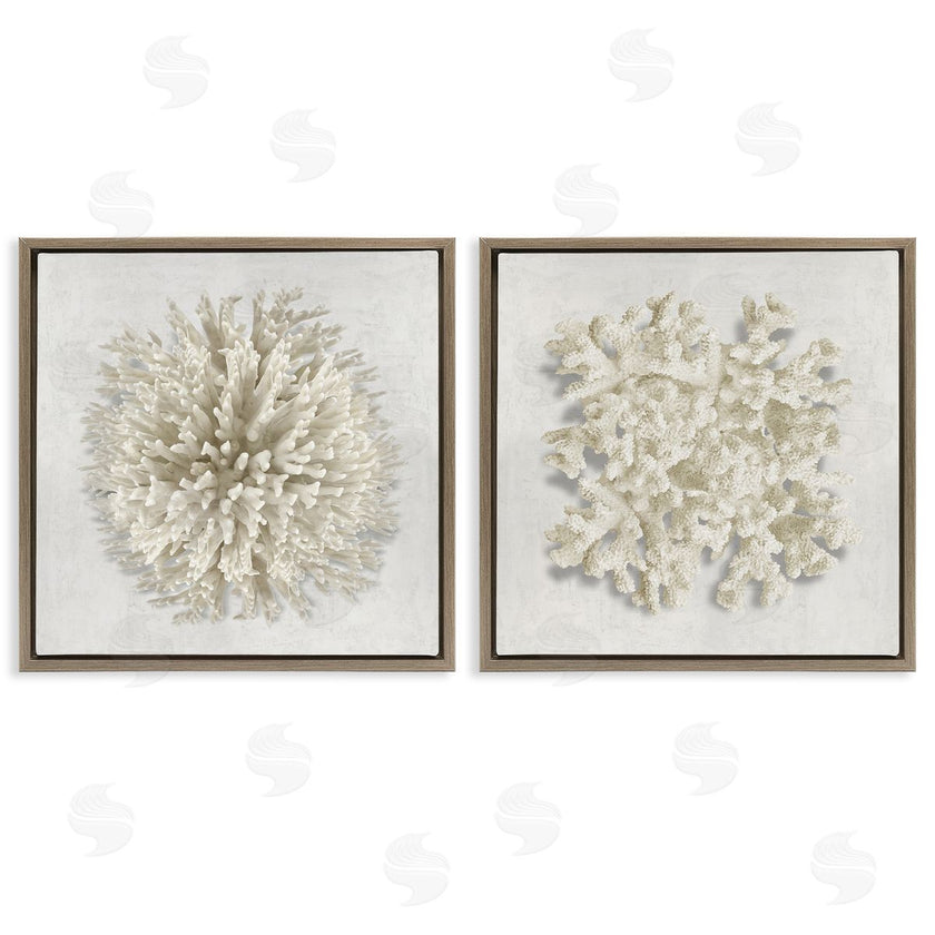 Caroline Kelly | Distinct Natural Coral