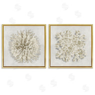 Caroline Kelly | Distinct Natural Coral