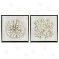 Caroline Kelly | Distinct Natural Coral