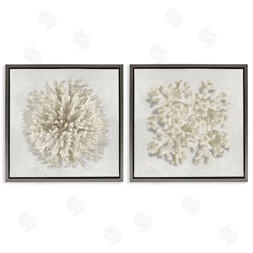 Caroline Kelly | Distinct Natural Coral