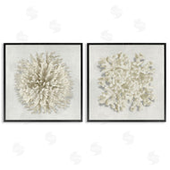 Caroline Kelly | Distinct Natural Coral