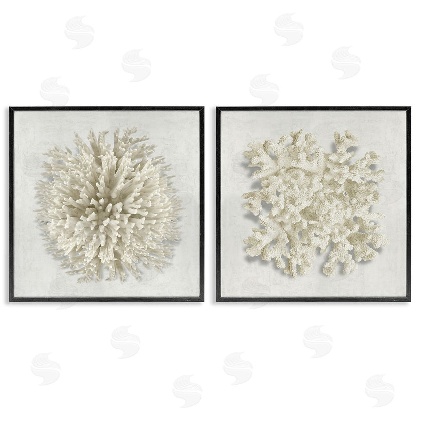Caroline Kelly | Distinct Natural Coral