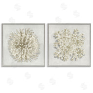 Caroline Kelly | Distinct Natural Coral
